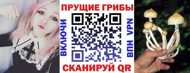 MEGA онион  Кувандык  Галлюциногенные грибы Cubensis  где купить наркотик 